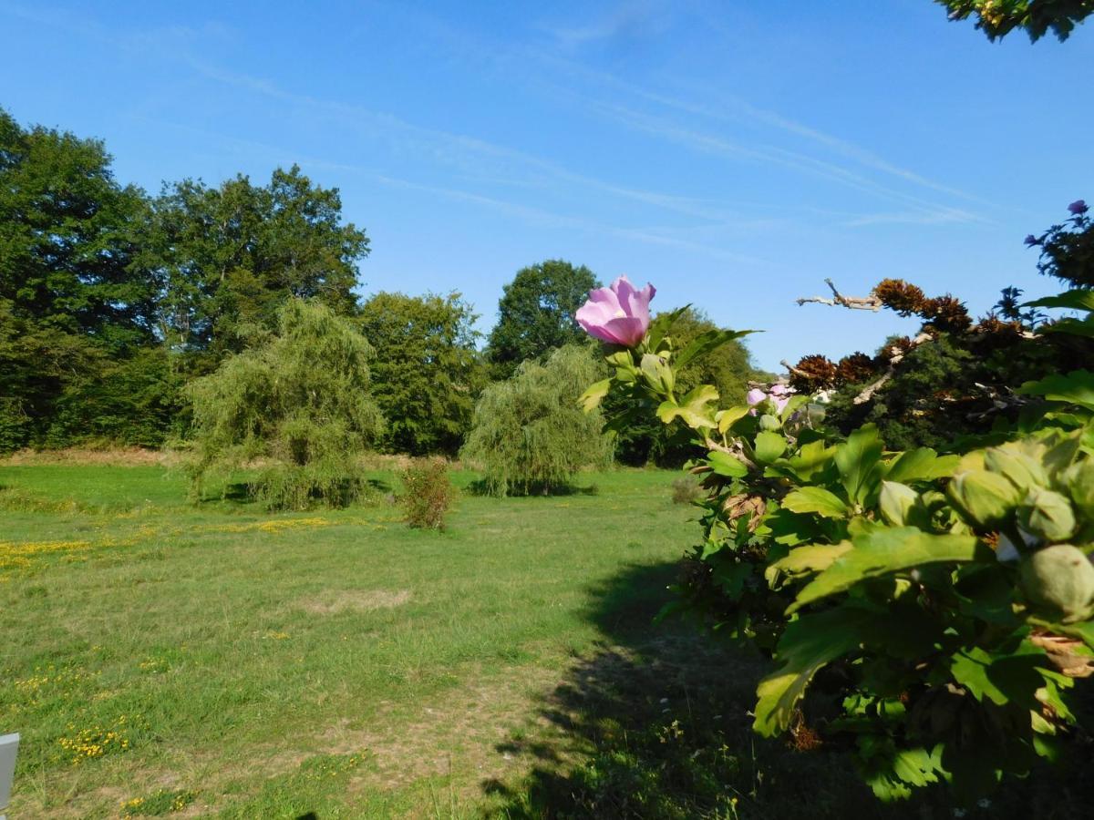 Bed and Breakfast Du Coq A L'Ame Naves  Exterior foto